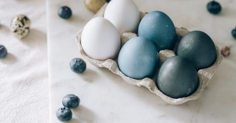 DIY Plumbing - Blue And White Eggs In A Carton